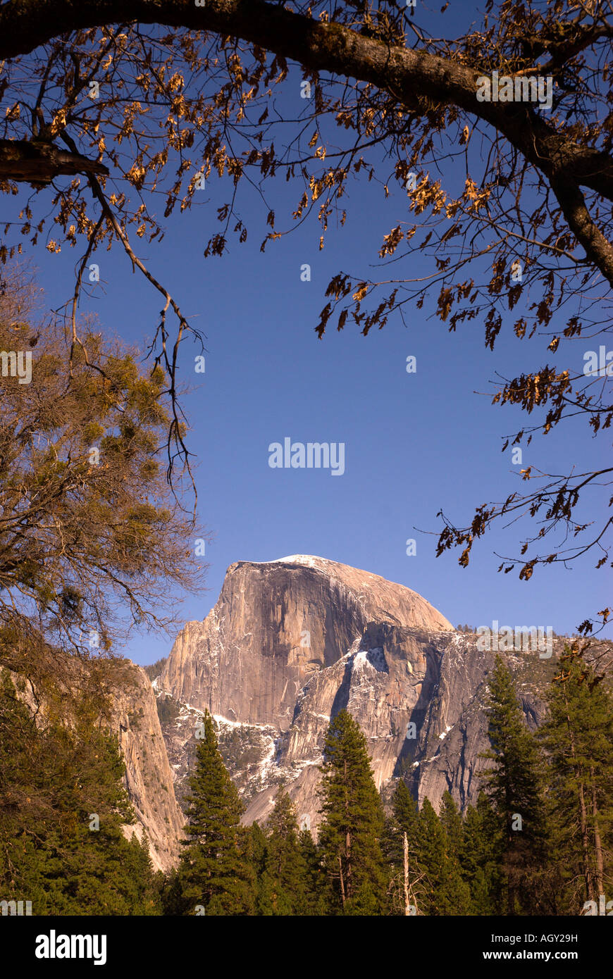 Half Dome Rock Yosemite nationalen umrahmt von Ast Stockfoto