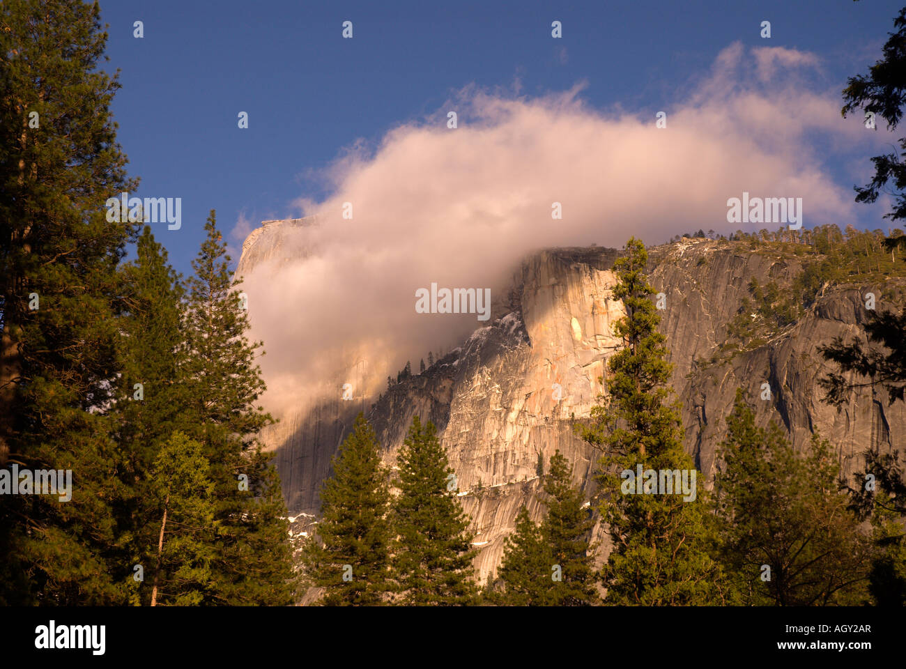 Half Dome Rock Yosemite-Nationalpark Stockfoto