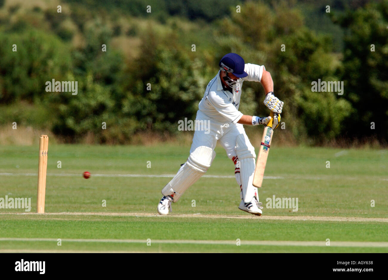 Cricket-Spiel Stockfoto