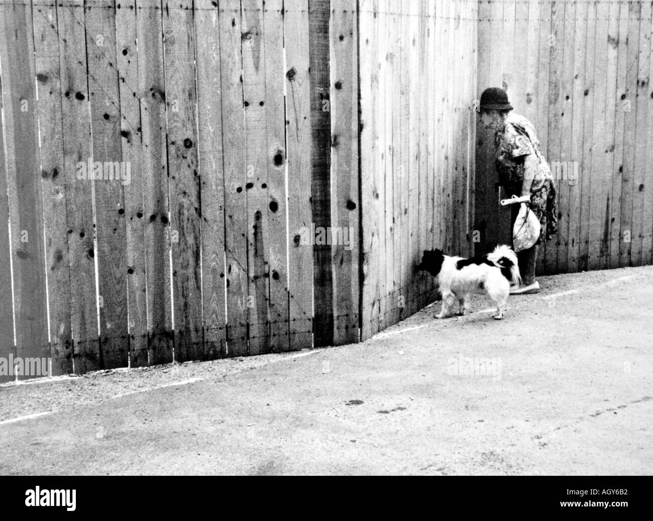 Straßenfotografie neugierige Frau mit einem Hund durch einen hölzernen Zaun neugierigen Stockfoto