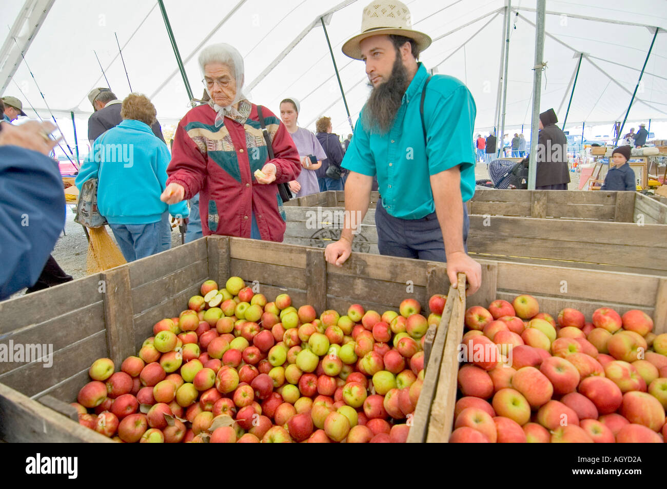 Amische Leben in Millersburg und Sugar Creek Halligen County Ohio Stockfoto