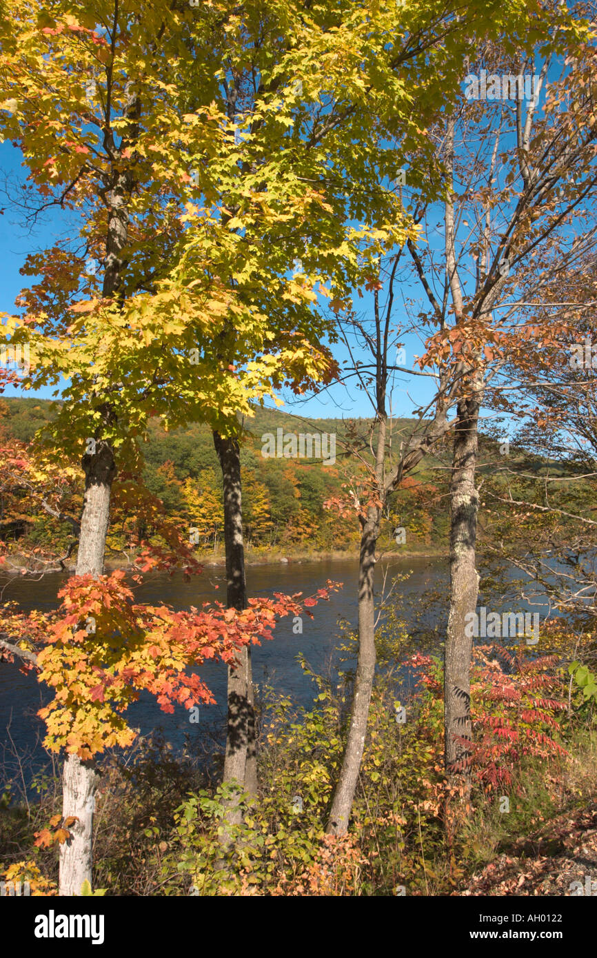 Adirondacks. Herbstlaub am Hudson River, Adirondack Mountains, New York State, USA Stockfoto