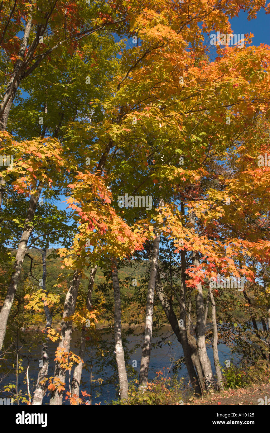 Herbstfarben von der Hudson River, Adirondack Mountains, New York State, USA Stockfoto