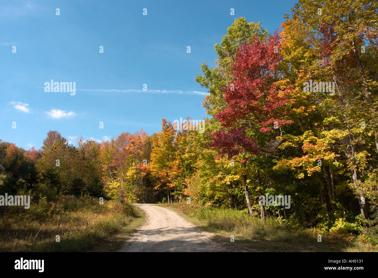 Leeren Sie Landstraße und fallen Sie Laub, grünen Bergen, Vermont, USA Stockfoto