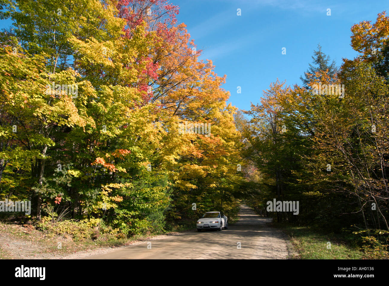 Auto auf einen Feldweg unter Herbstlaub, direkt an der Autobahn 100, grünen Bergen, Vermont, USA Stockfoto
