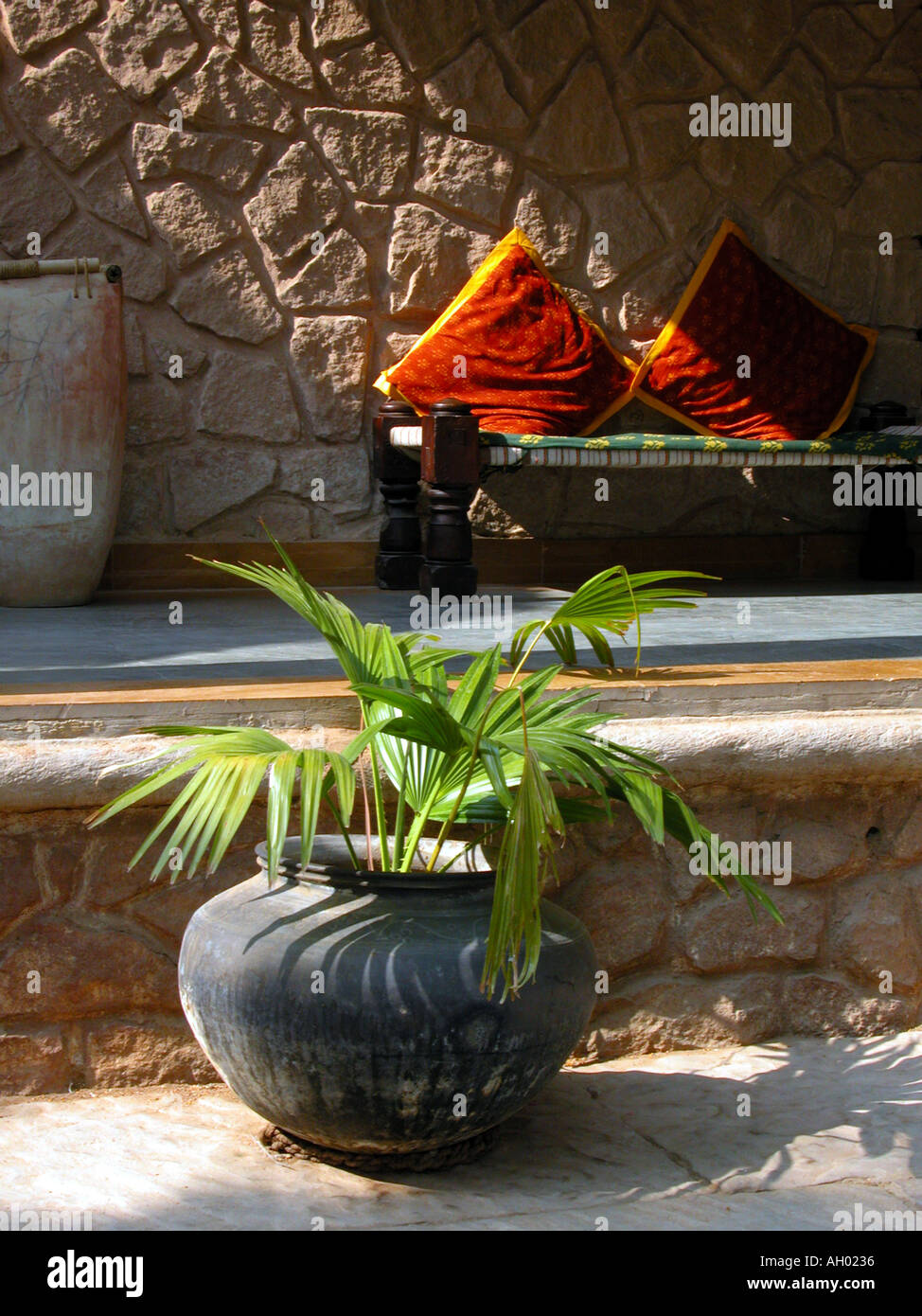 Irdenen Topfpflanze auf dem display Stockfoto