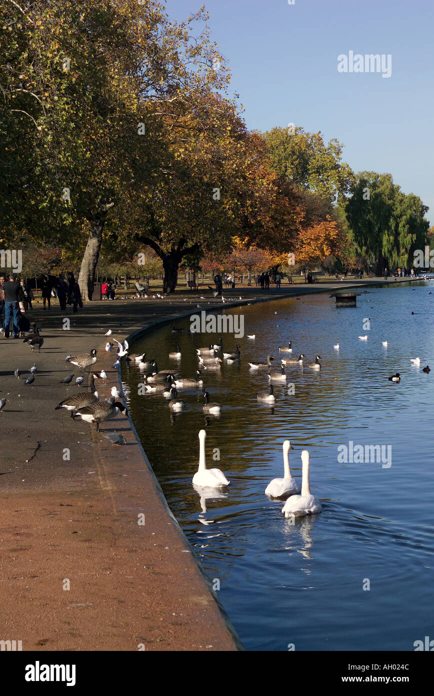 UK London Regents Park im Herbst Stockfoto