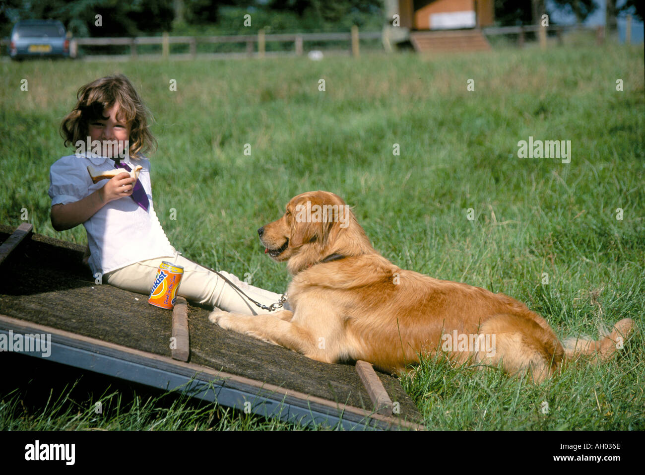 Junges Mädchen mit ihrem Hund ruht auf der Heckbleche eine Pferdebox, bei einem Horse Show in England Stockfoto