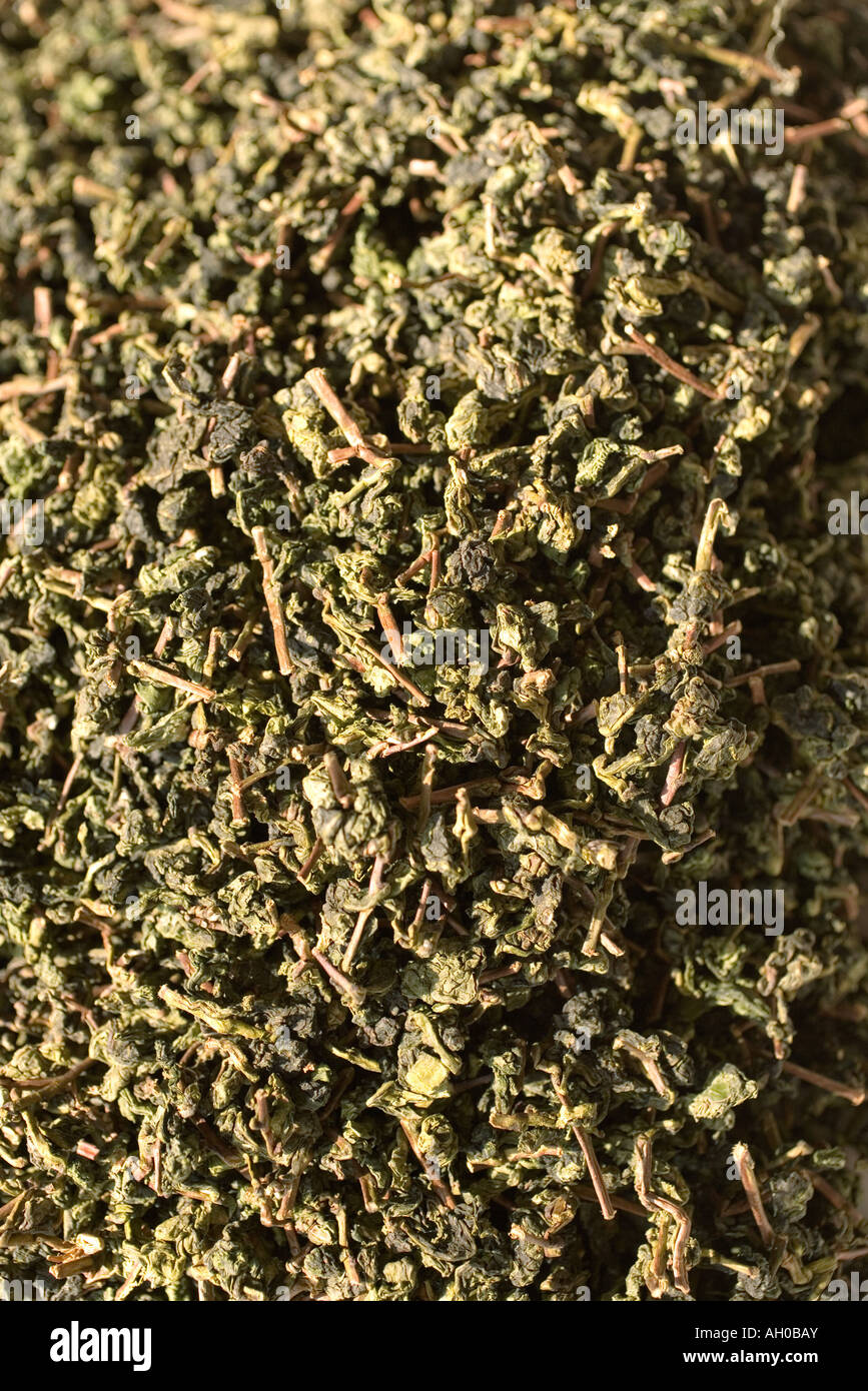 Grüner Tee, full-frame Stockfoto