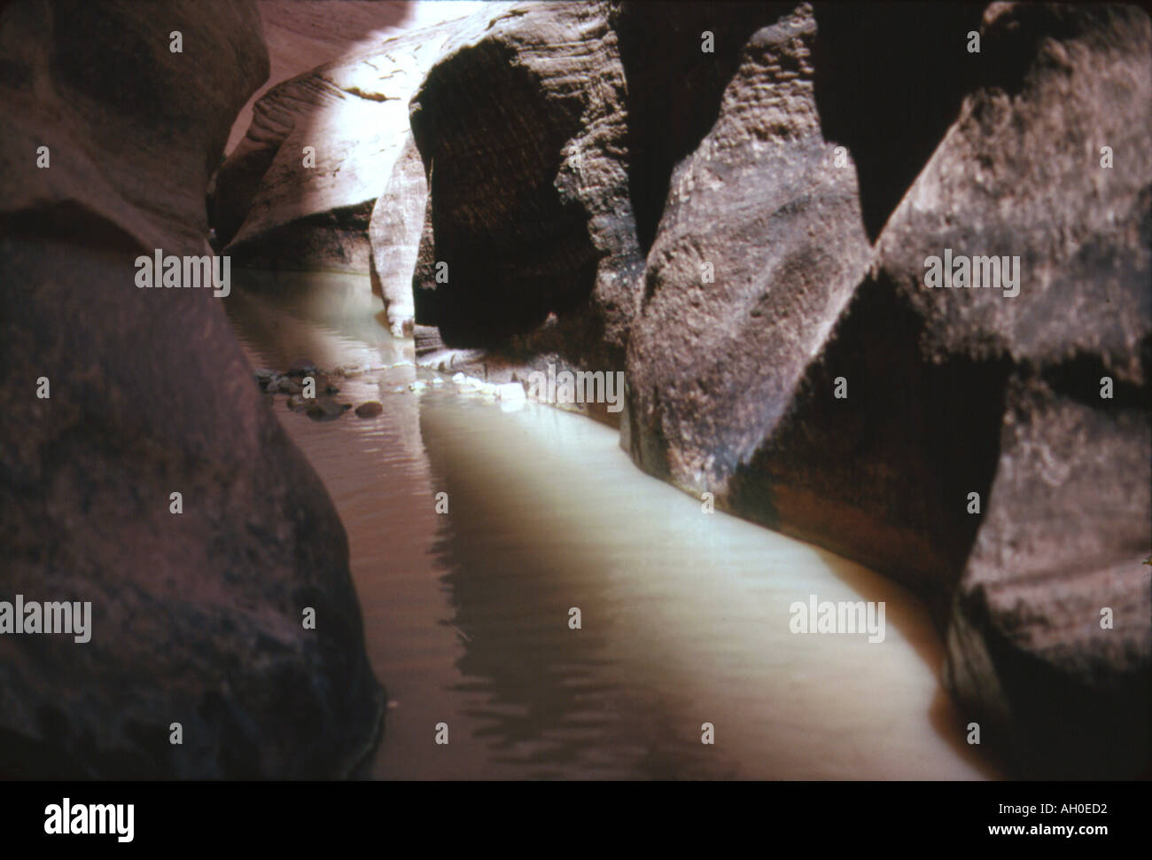 Halls Creek Narrows, Utah Stockfoto