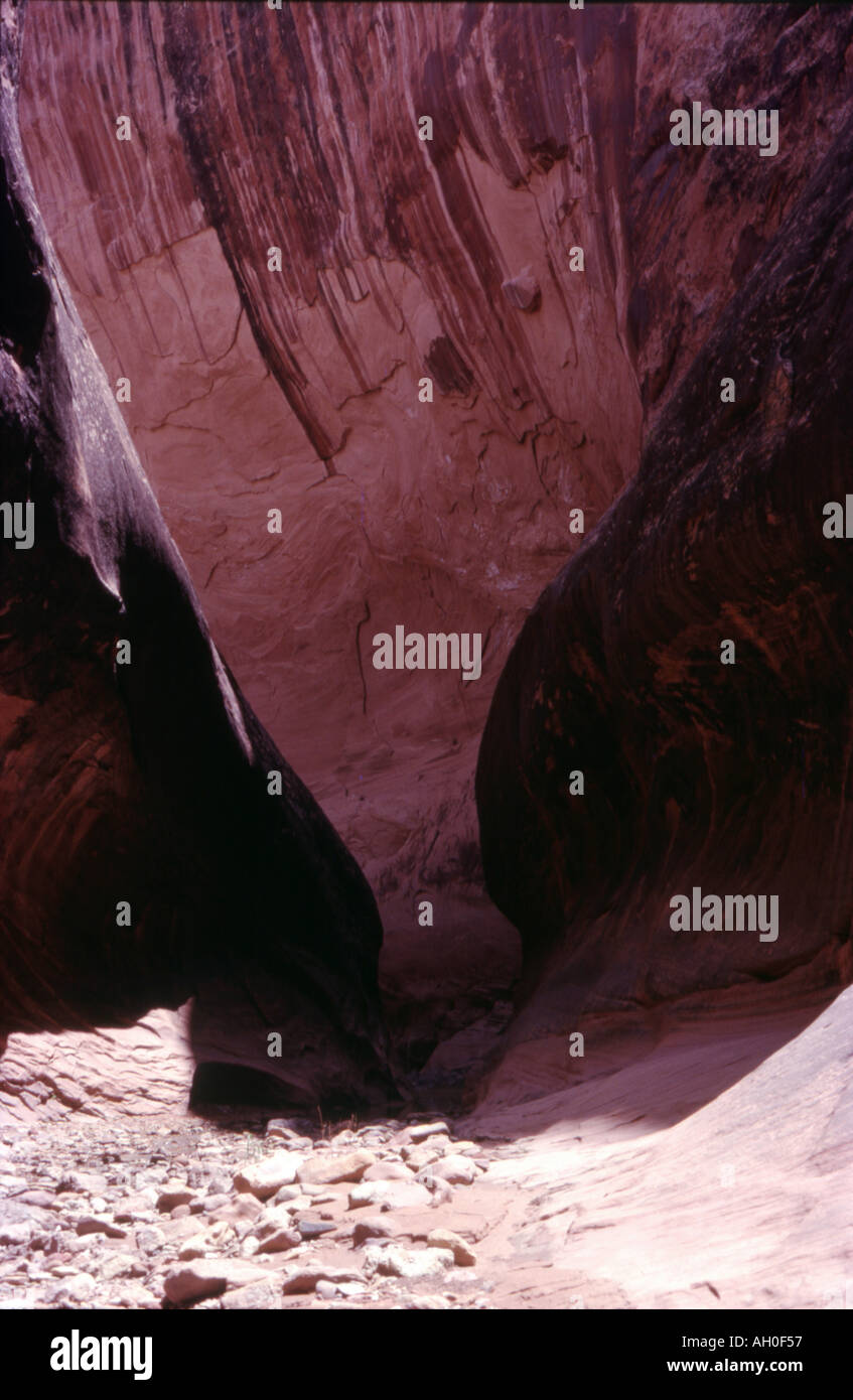 Felsformation in Halls Creek Narrows, Waterpocket Fold, Utah Stockfoto