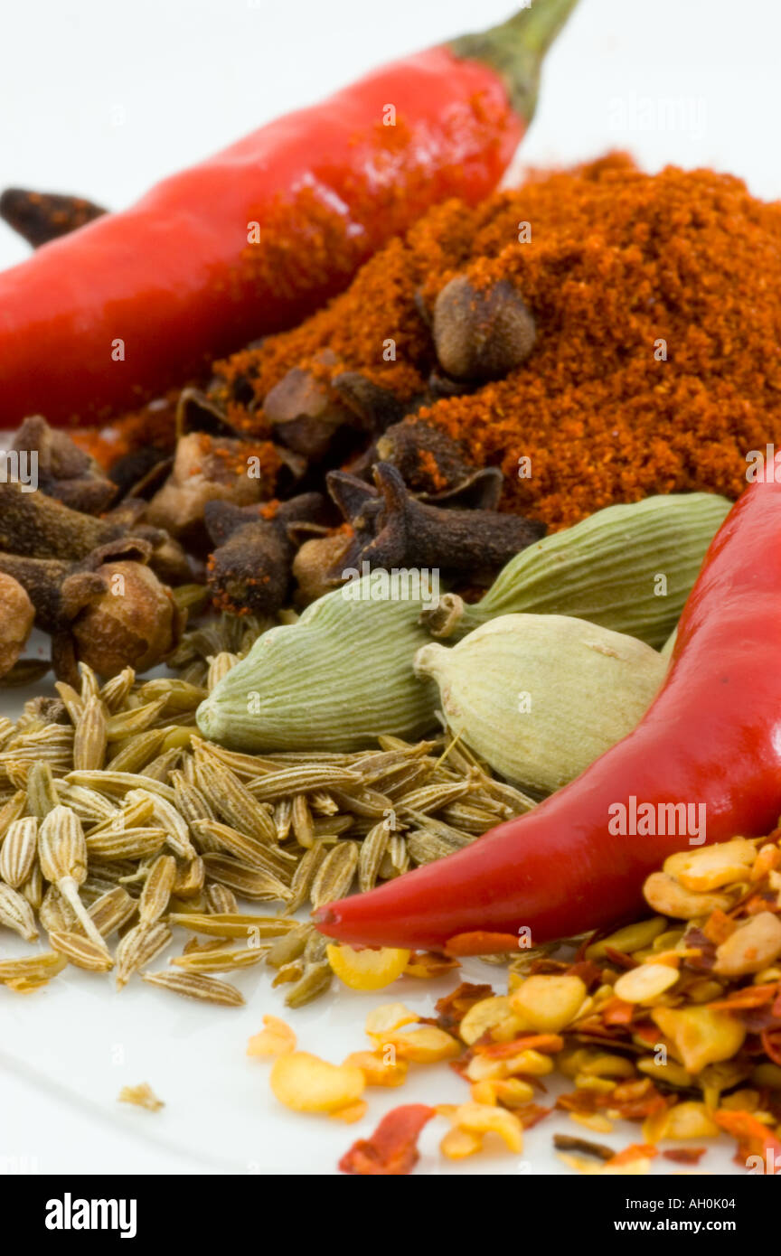 Eine Auswahl von Gewürzen und roten Chilischoten vor einem weißen Hintergrund Stockfoto