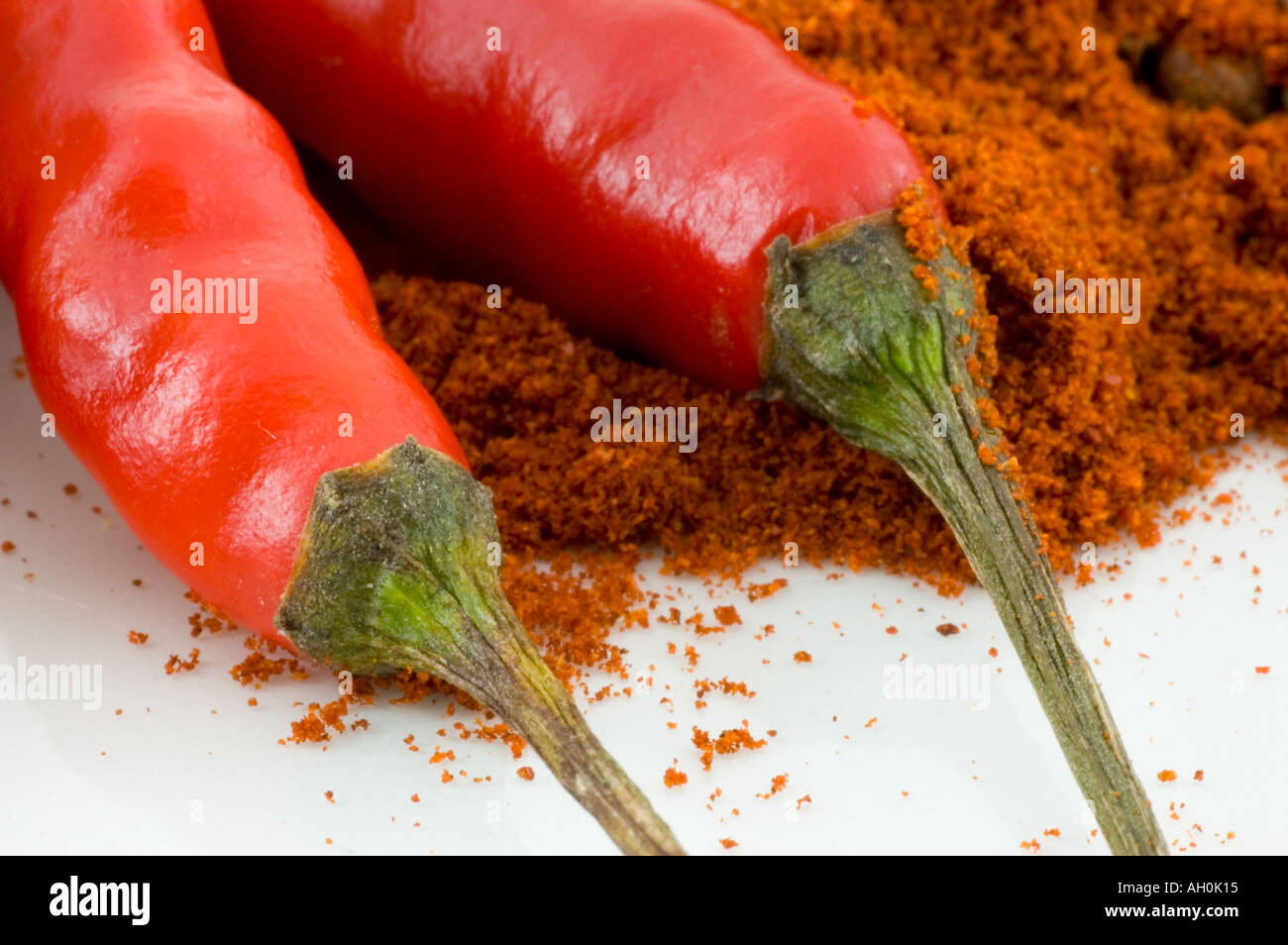 Eine Auswahl von Gewürzen und roten Vögel eye Chilis vor einem weißen Hintergrund Stockfoto