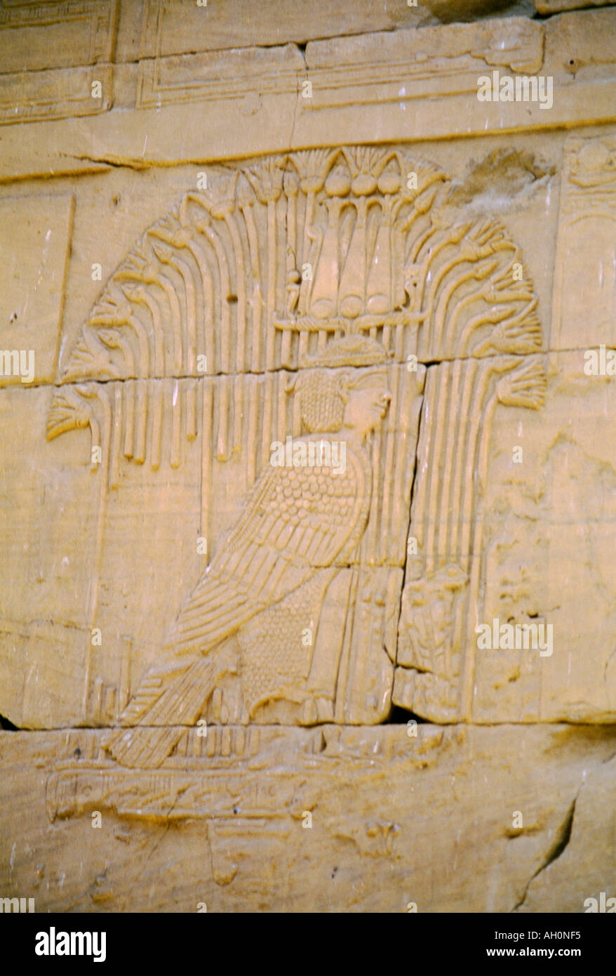 Kalabscha Assuan Ägypten Ba Spirit Rock Carving Stockfoto