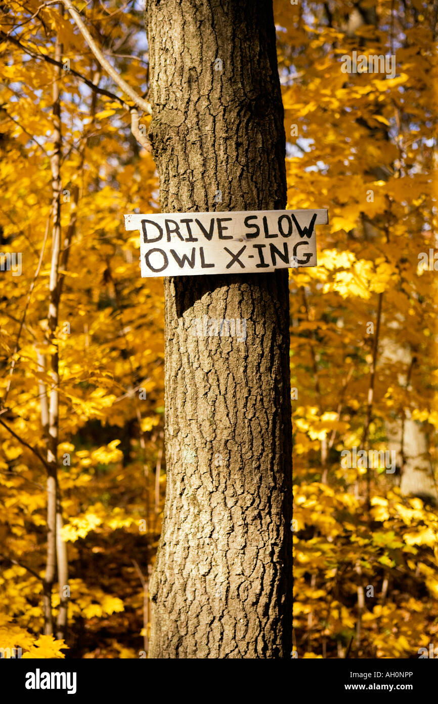 Fahren Sie langsam Eule Crossing Schild an einem Baum Stockfoto