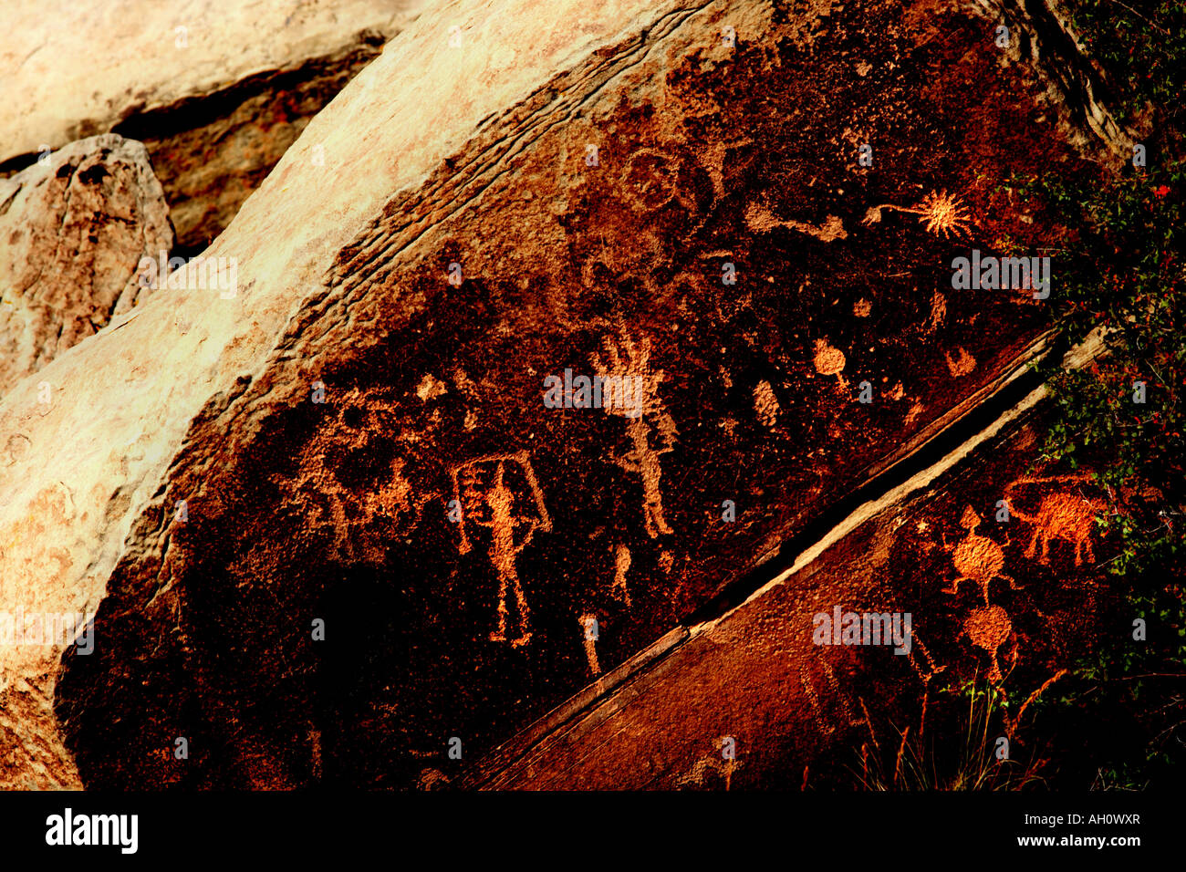 indianische Felszeichnungen Zeitung rock Petrified Forest National Park arizona Stockfoto