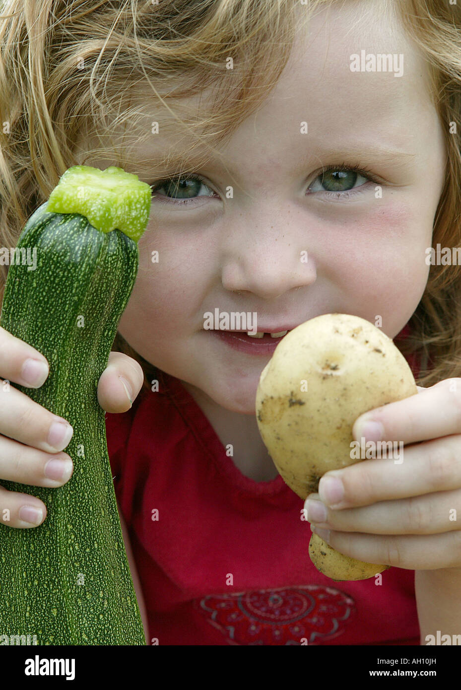 kleine Chaild hält selbst angebauten Produkte mit Stolz. Eine Kartoffel und eine Zucchini Stockfoto