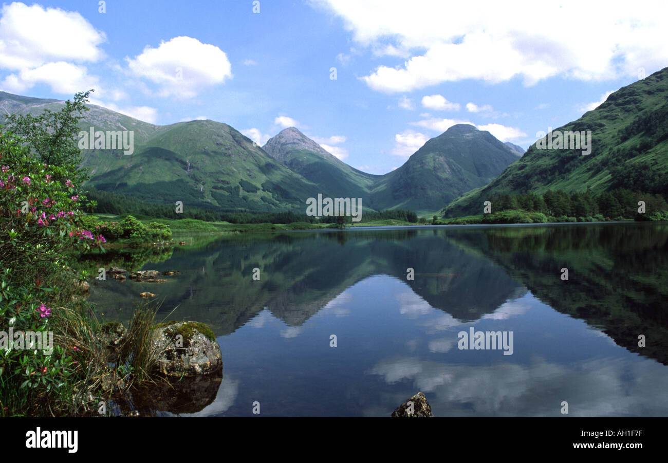 Glen Coe Berge von Glen Etive westlich von Schottland mit ruhig man Urr und schöne Rhododendren gesehen Stockfoto