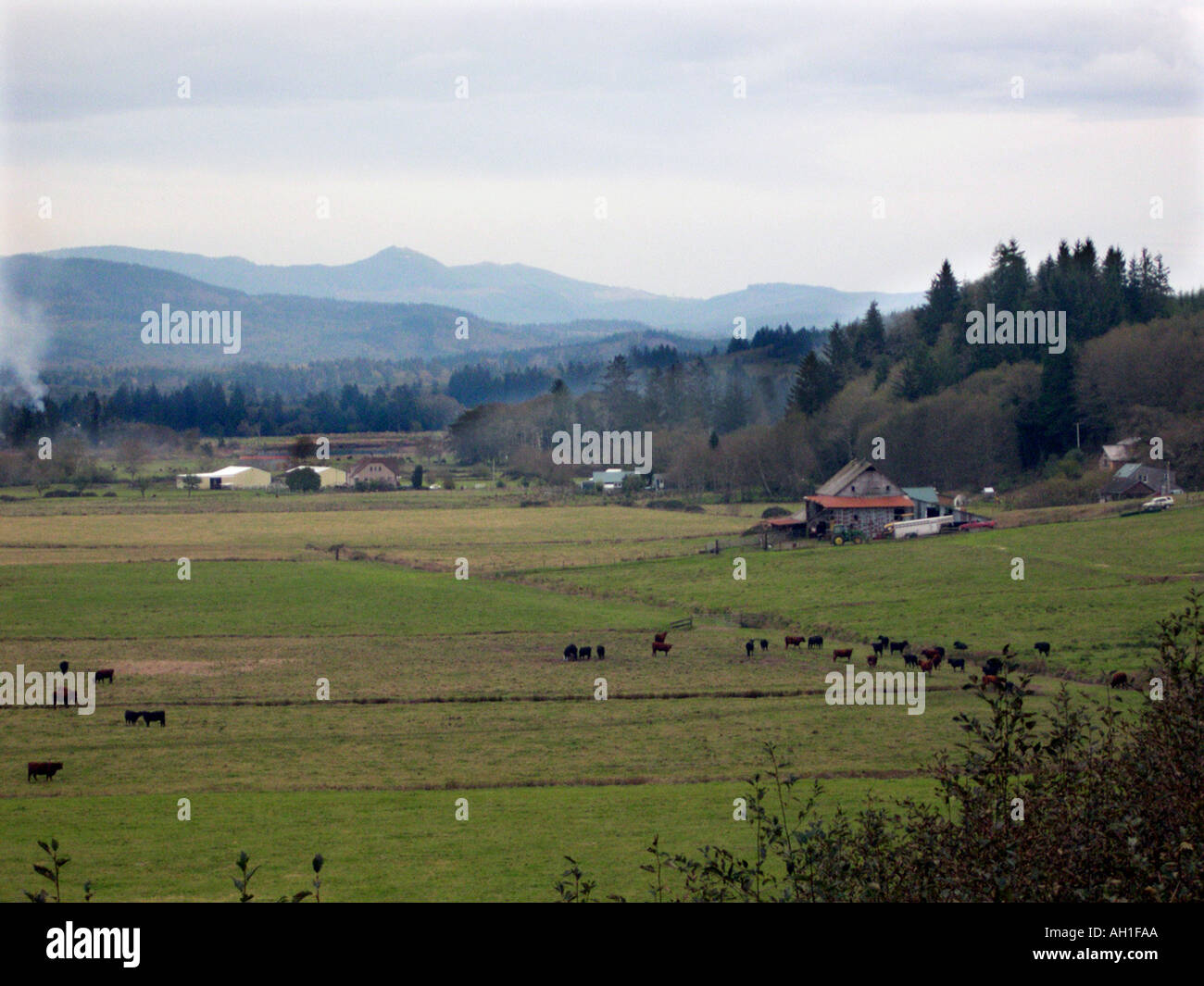 Eine Farm in der Nähe von Astoria Oregon Stockfoto