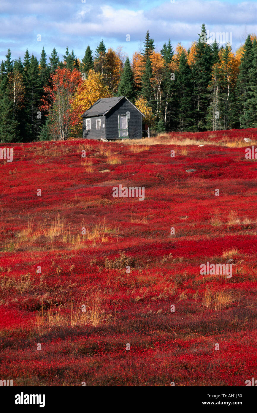 Indian summer maine Fotos und Bildmaterial in hoher Auflösung Alamy