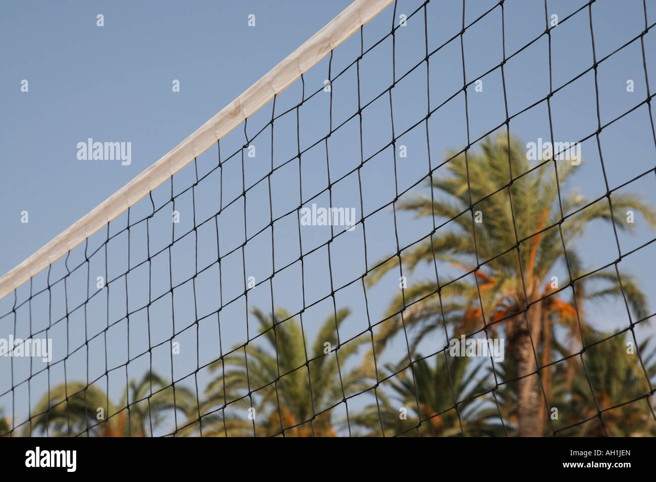 Volleyball-Netz mit Palmen in den backgound Stockfoto