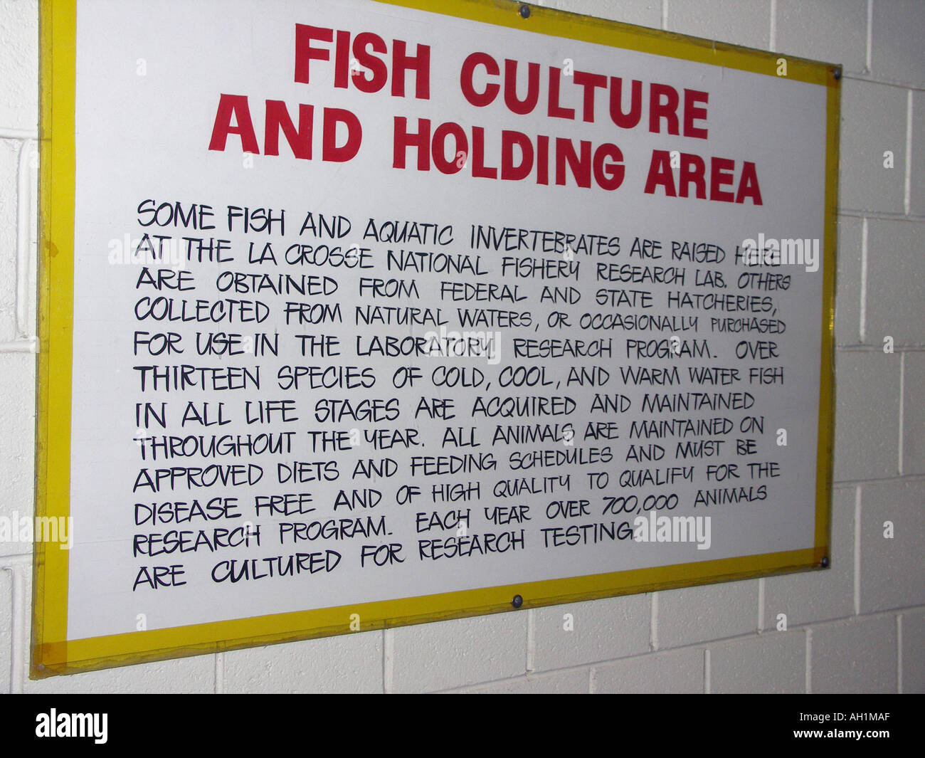 Schild an Wand des Fisches Wartebereich Stockfoto