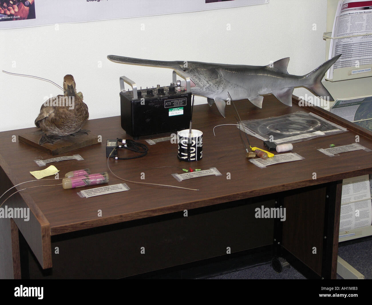 Life Sciences Display USGS Stockfoto