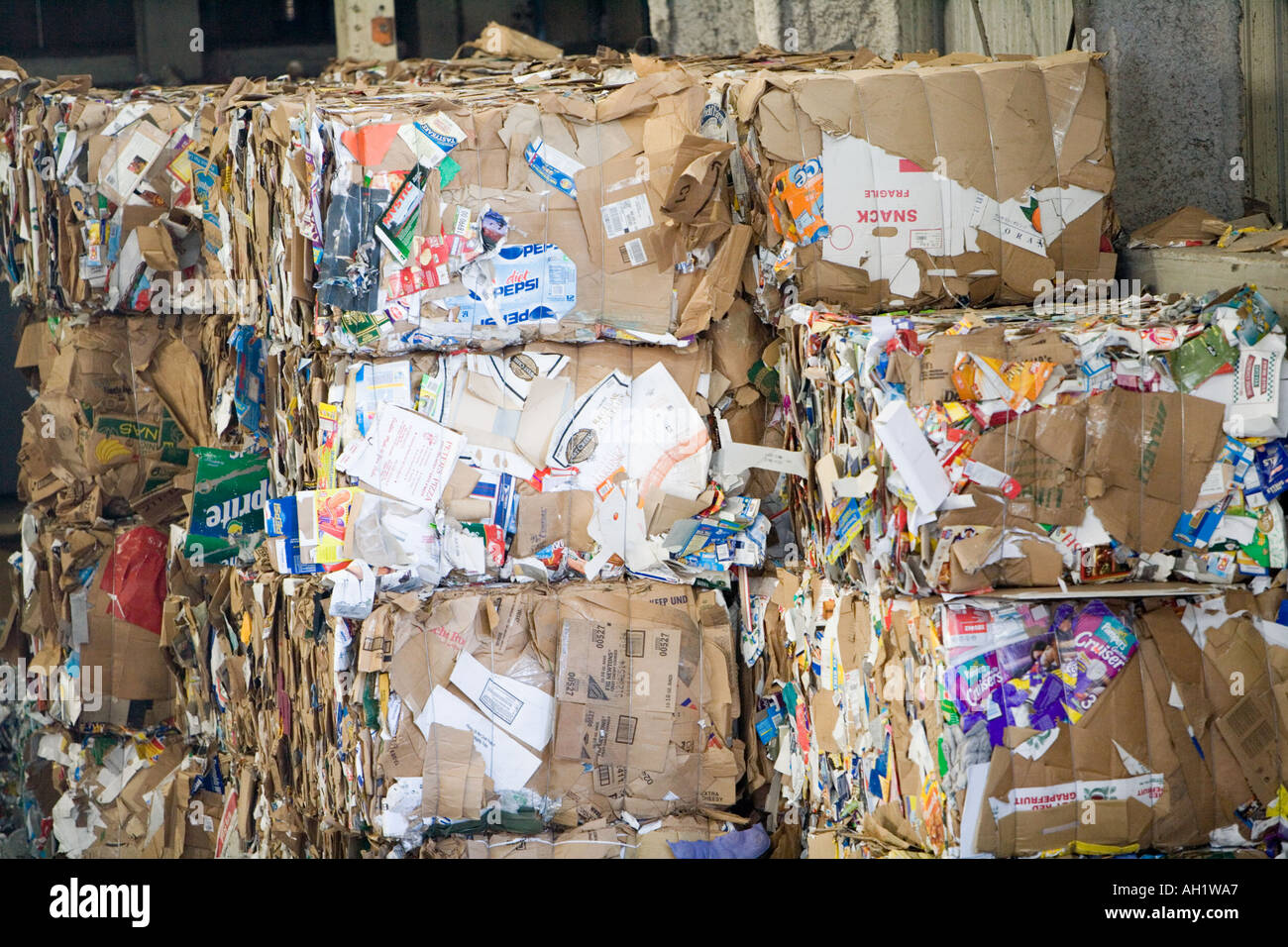 Recycling-Papier verdichtet und gebündelt in recycling-Anlage Stockfoto