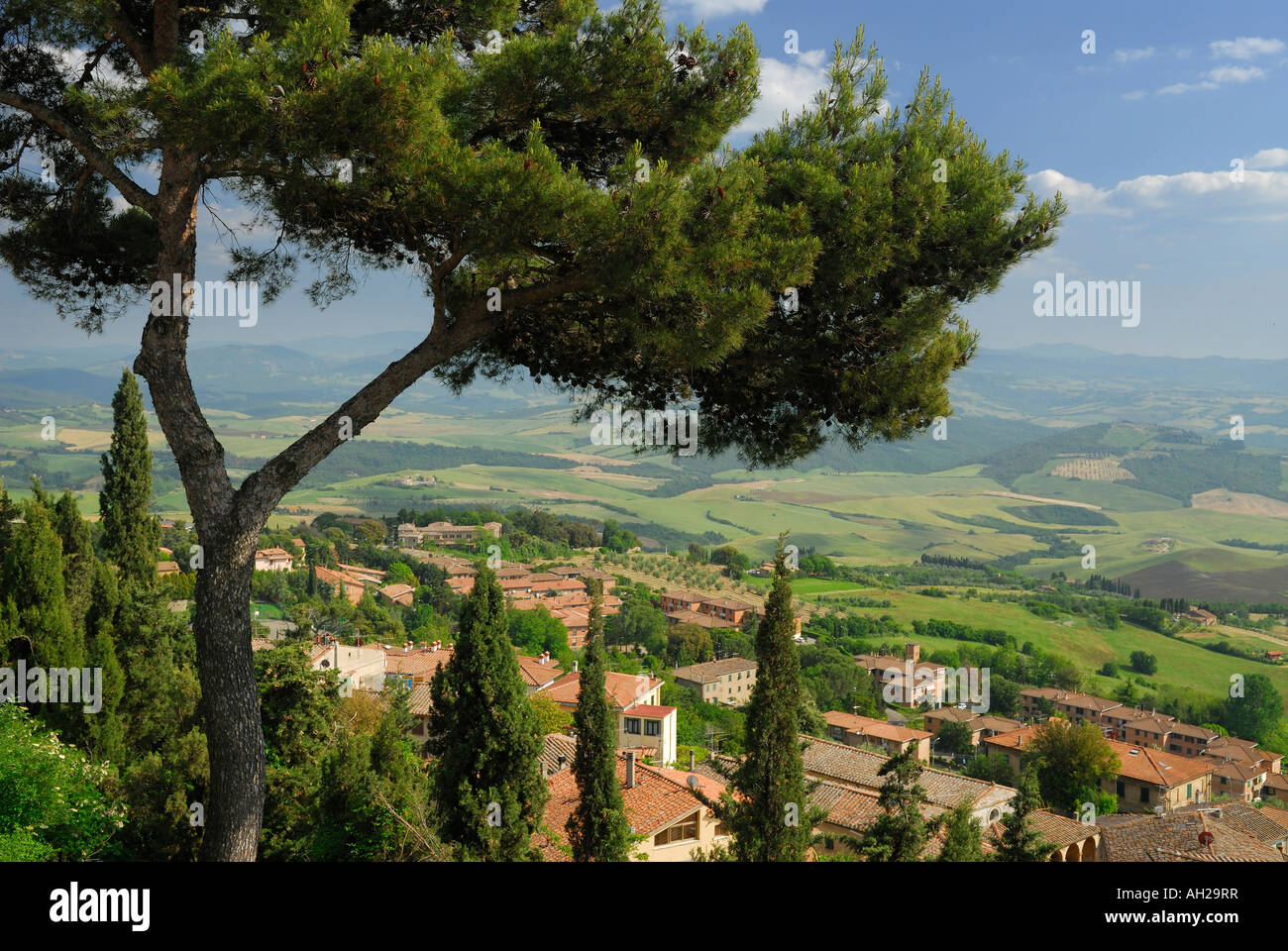 Kiefer mit Blick auf Volterra und das Cecina-Tal vom Hügel in der Toskana Italien Stockfoto