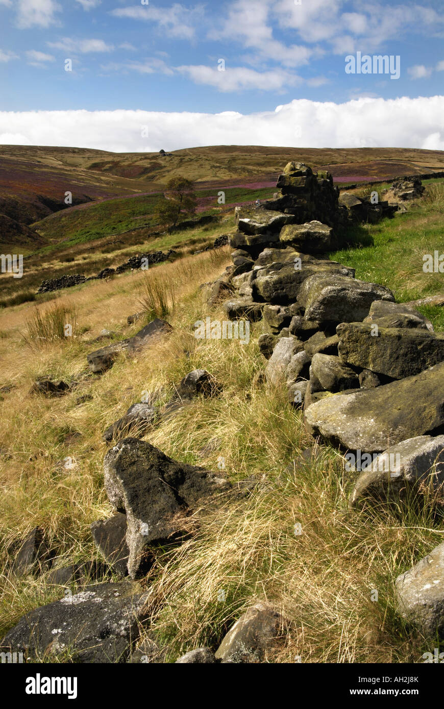 Blick Richtung Top Withens Bronte Land West Yorkshire UK Stockfoto