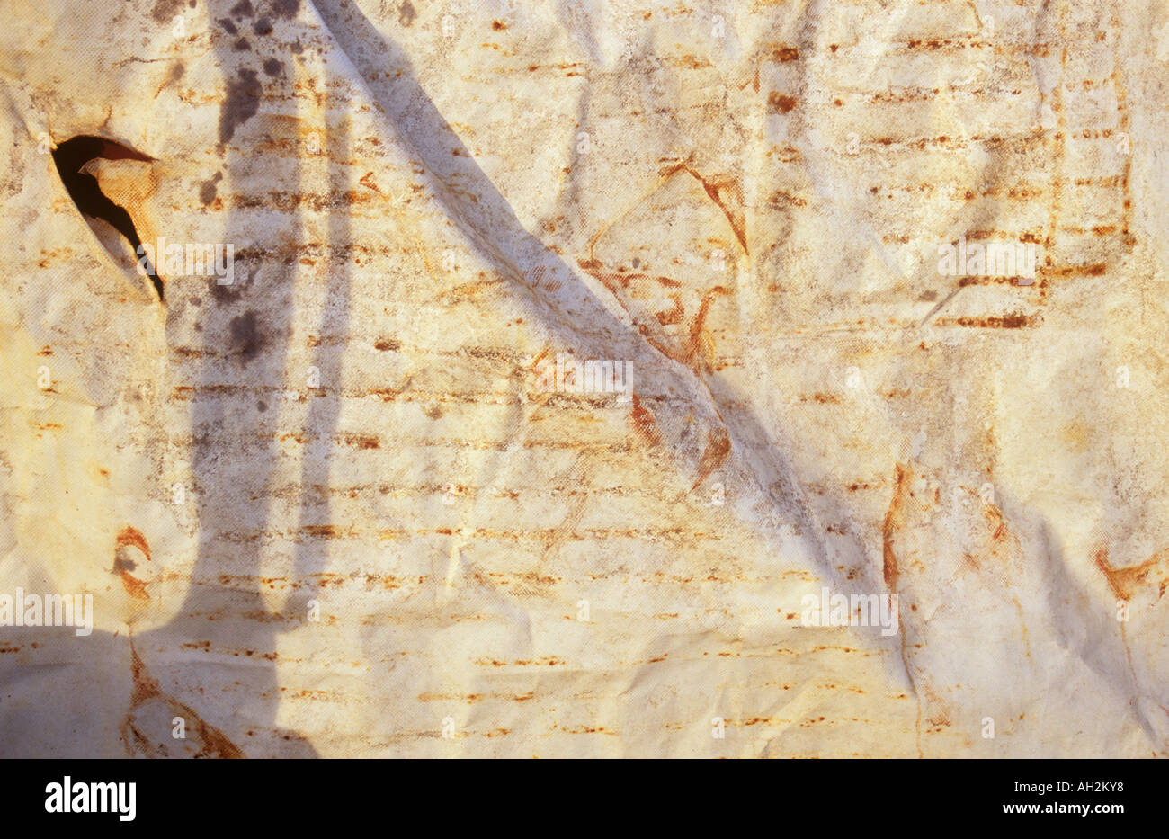 Detail des weißen Plane Blatt mit abstrakten Rost Flecken eine Träne und Wellen und Schatten Stockfoto