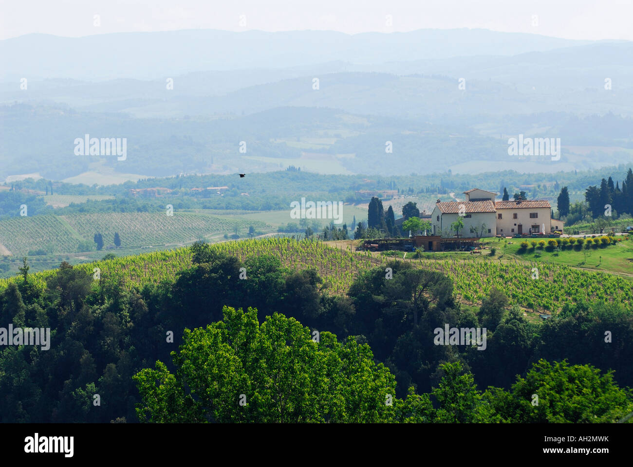 Trübe Hügel in einer toskanischen Landschaft der Weinberge mit Weingut Italien Stockfoto