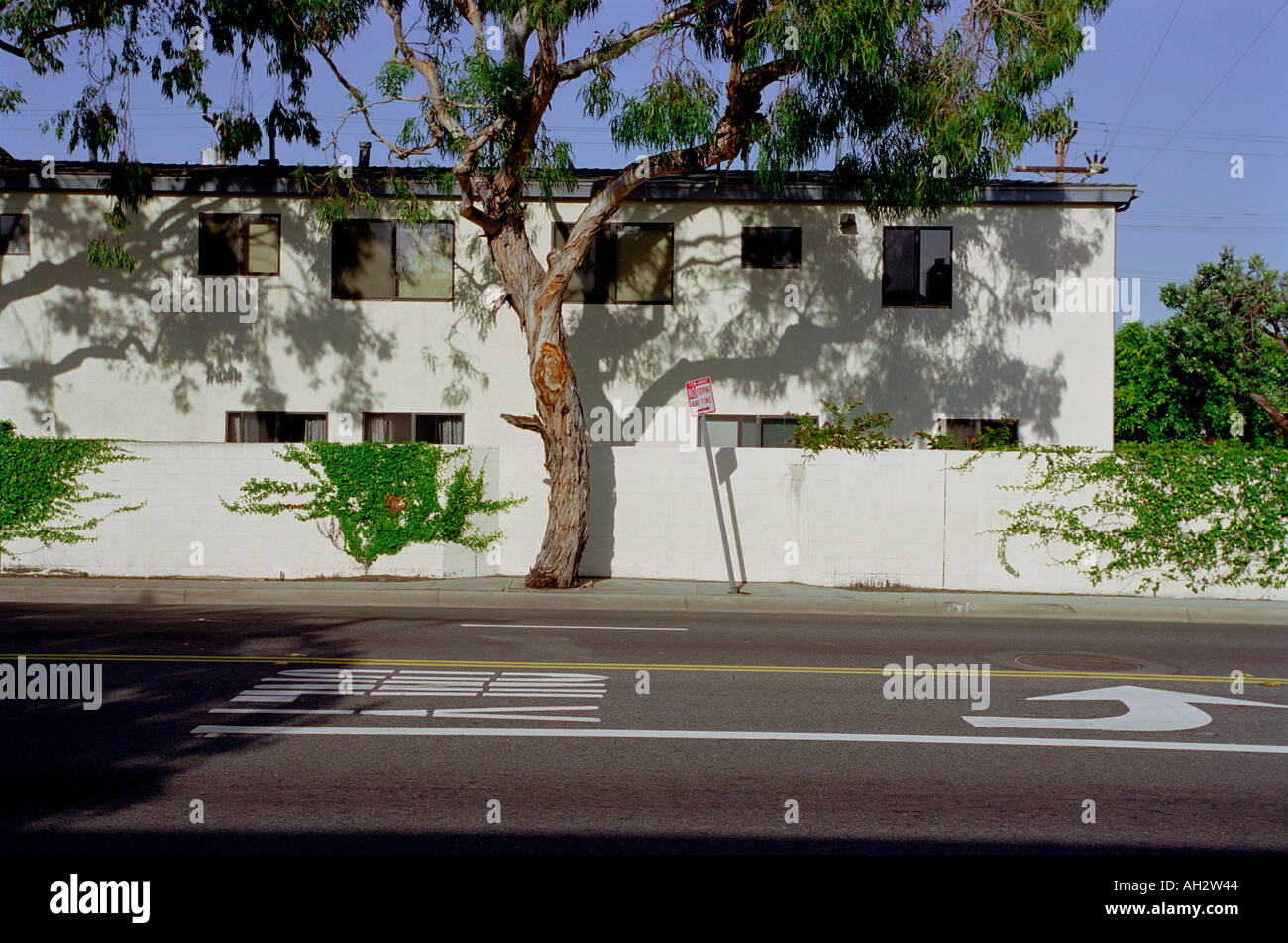 weißes Gebäude mit Baum Venice beach Kalifornien Vereinigte Staaten von Amerika Stockfoto