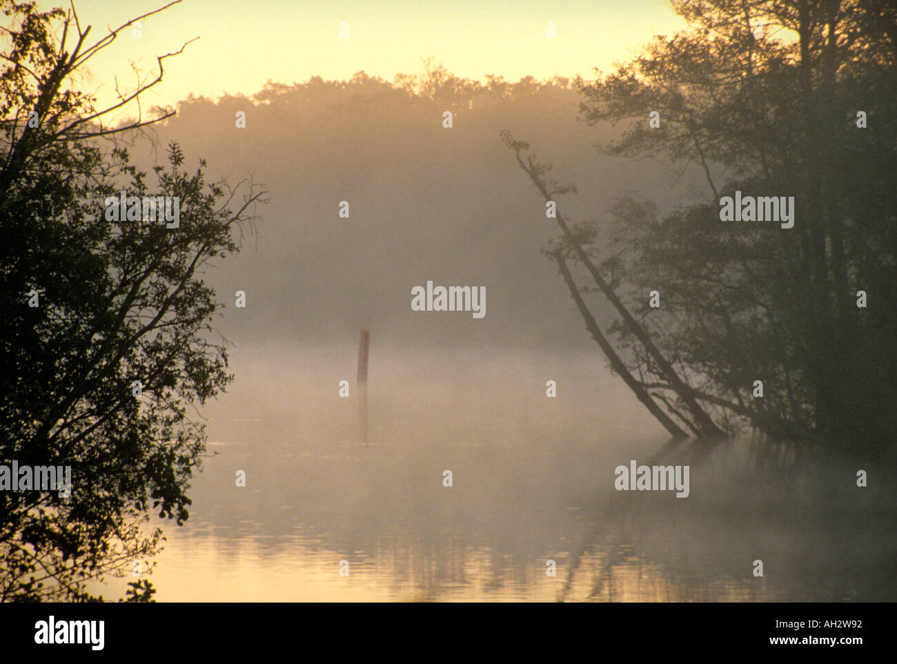 Norfolk Broads Stockfoto