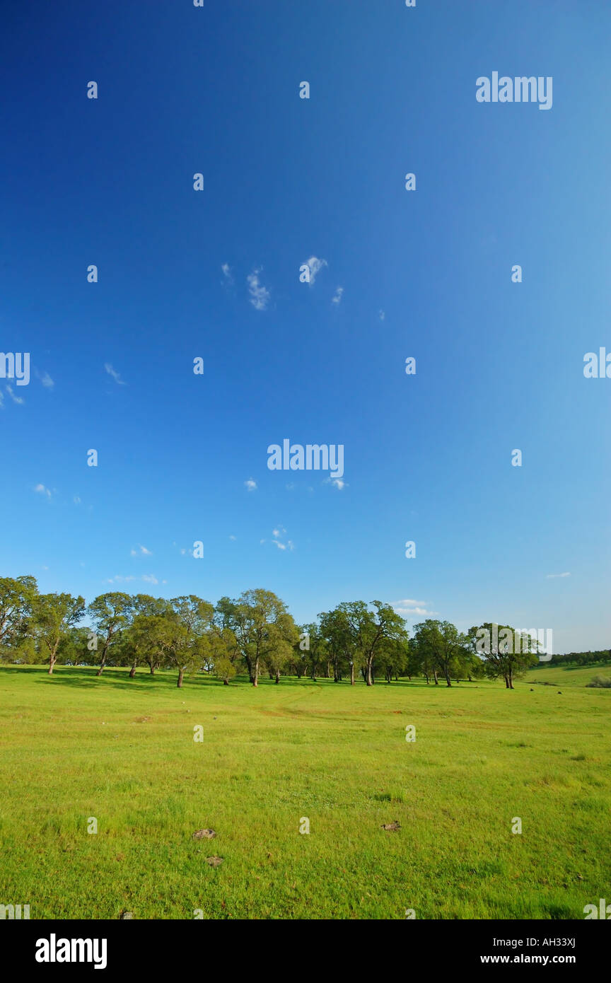 Frühling Landschaft in der Nähe von Yuba City Kalifornien Stockfoto