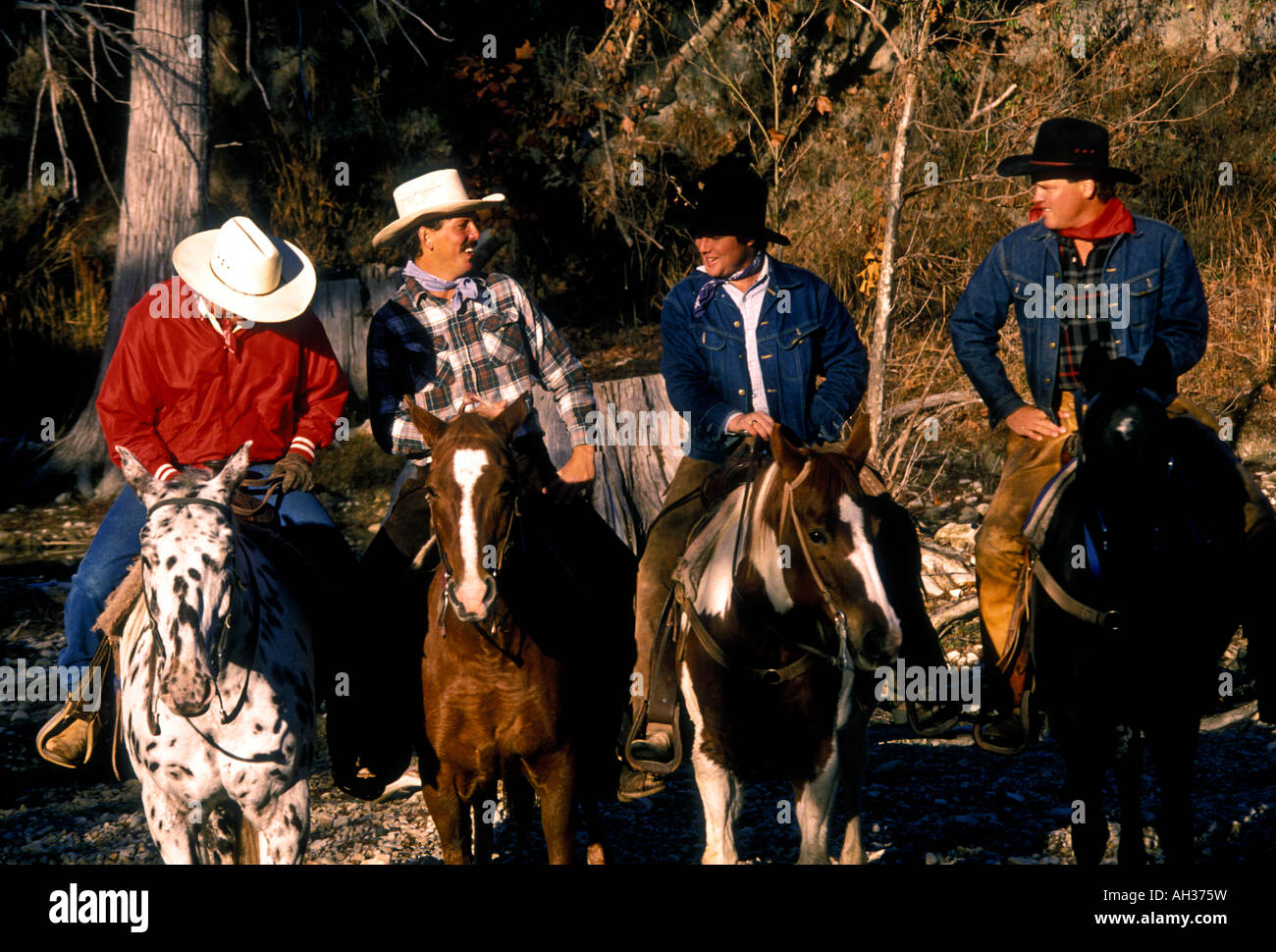 Cowboys auf dem Rücken der Pferde, Cowboys, Reiten, Reitpferde, Hill Country, Stadt der Bandera, Bandera, Bandera, County, Texas, USA, Nordamerika Stockfoto
