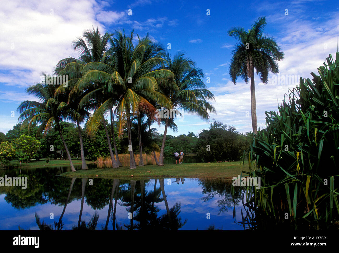 Fairchild Tropical Botanic Garden Miami Miami Florida Usa