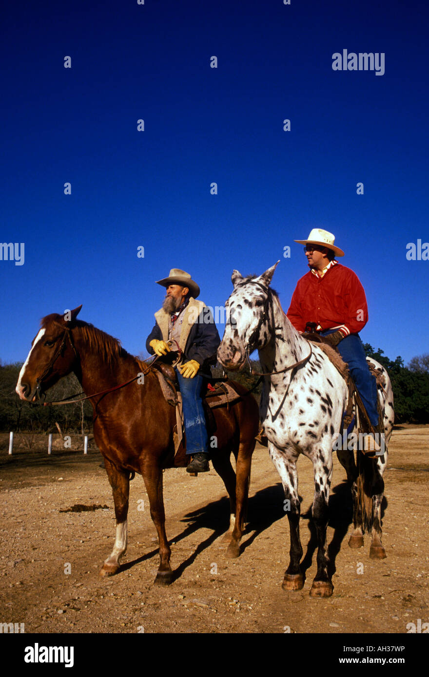 Cowboys auf dem Rücken der Pferde, Cowboys, Pferde, Reiten, Hill Country, Stadt Bandera, Bandera, Bandera, County, Texas, USA, Nordamerika Stockfoto