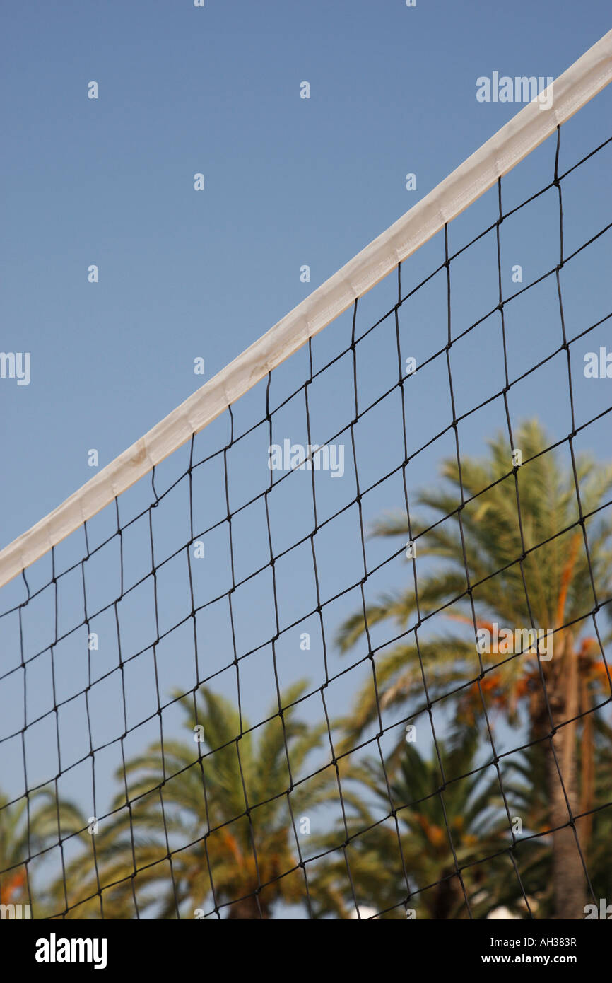 Volleyball-Netz mit Palmen in den backgound Stockfoto