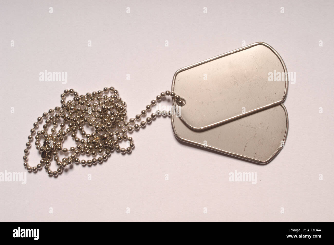 Dog Tags mit militärischen ohne Text auf Sie Stockfoto