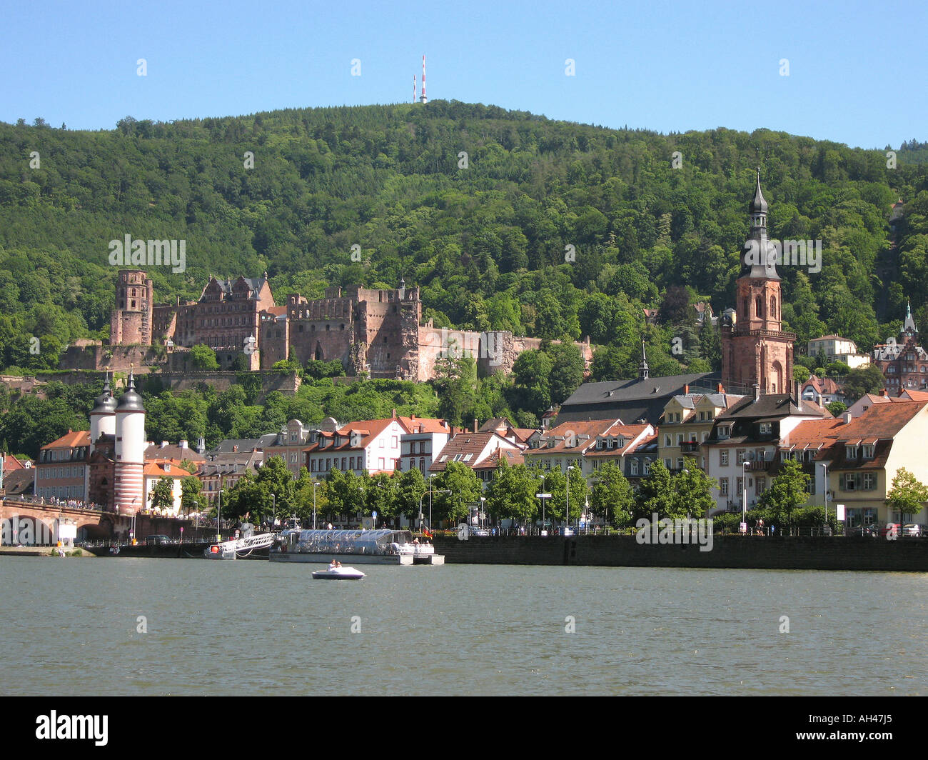 Schloss Heidelberg Heidelberger Schloss Stockfoto