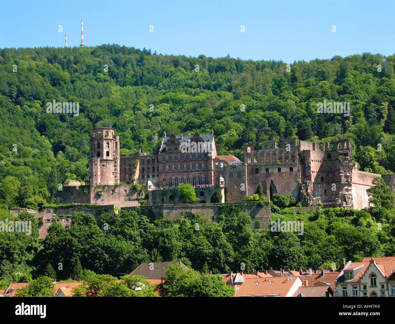 Schloss Heidelberg Heidelberger Schloss Stockfoto