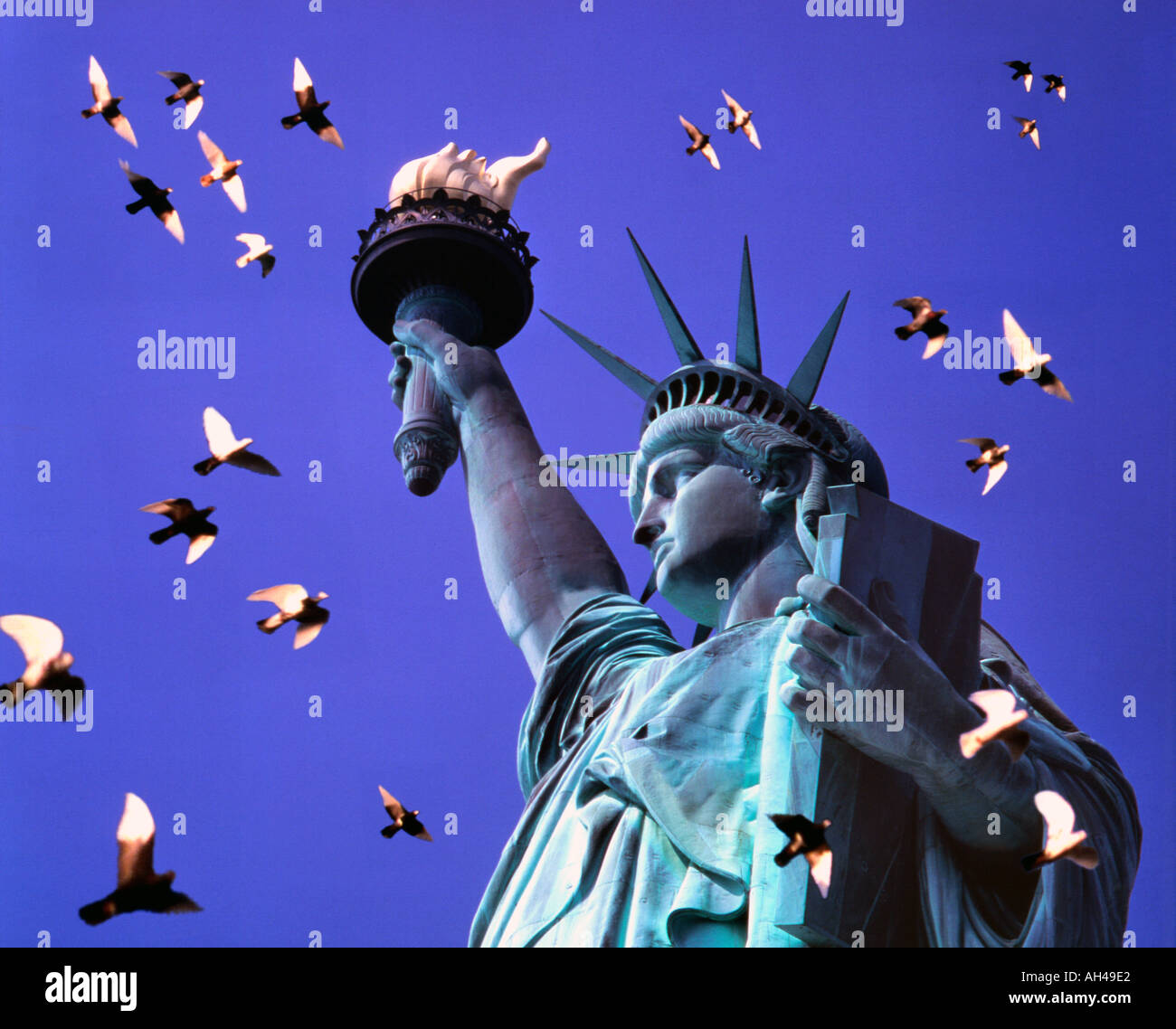 USA New York Freiheitsstatue mit Vögel Stockfoto