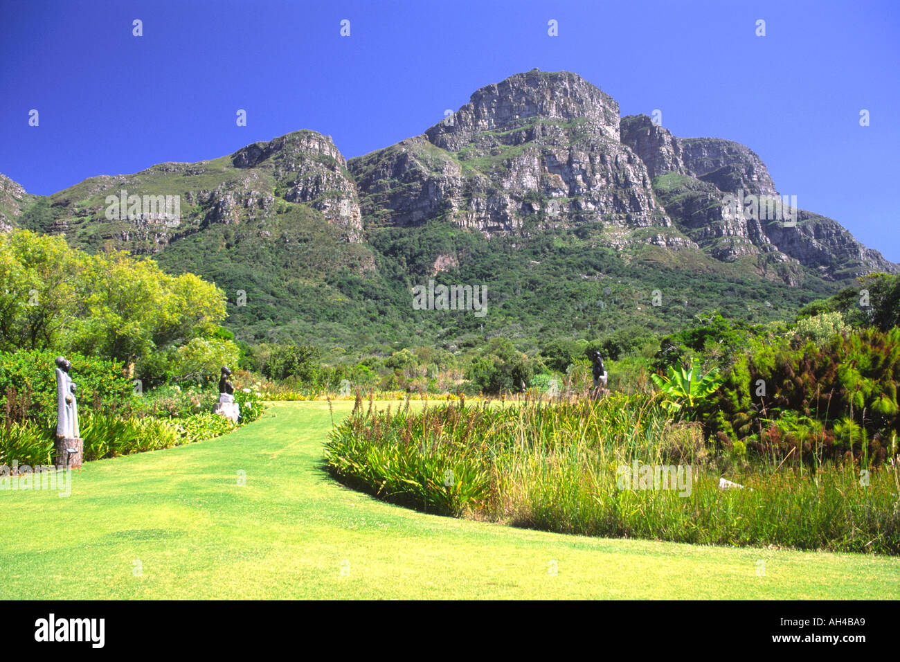 Der botanische Garten von Kirstenbosch mit Teilen der Tabelle Bergkette hinter in Kapstadt, Südafrika. Stockfoto