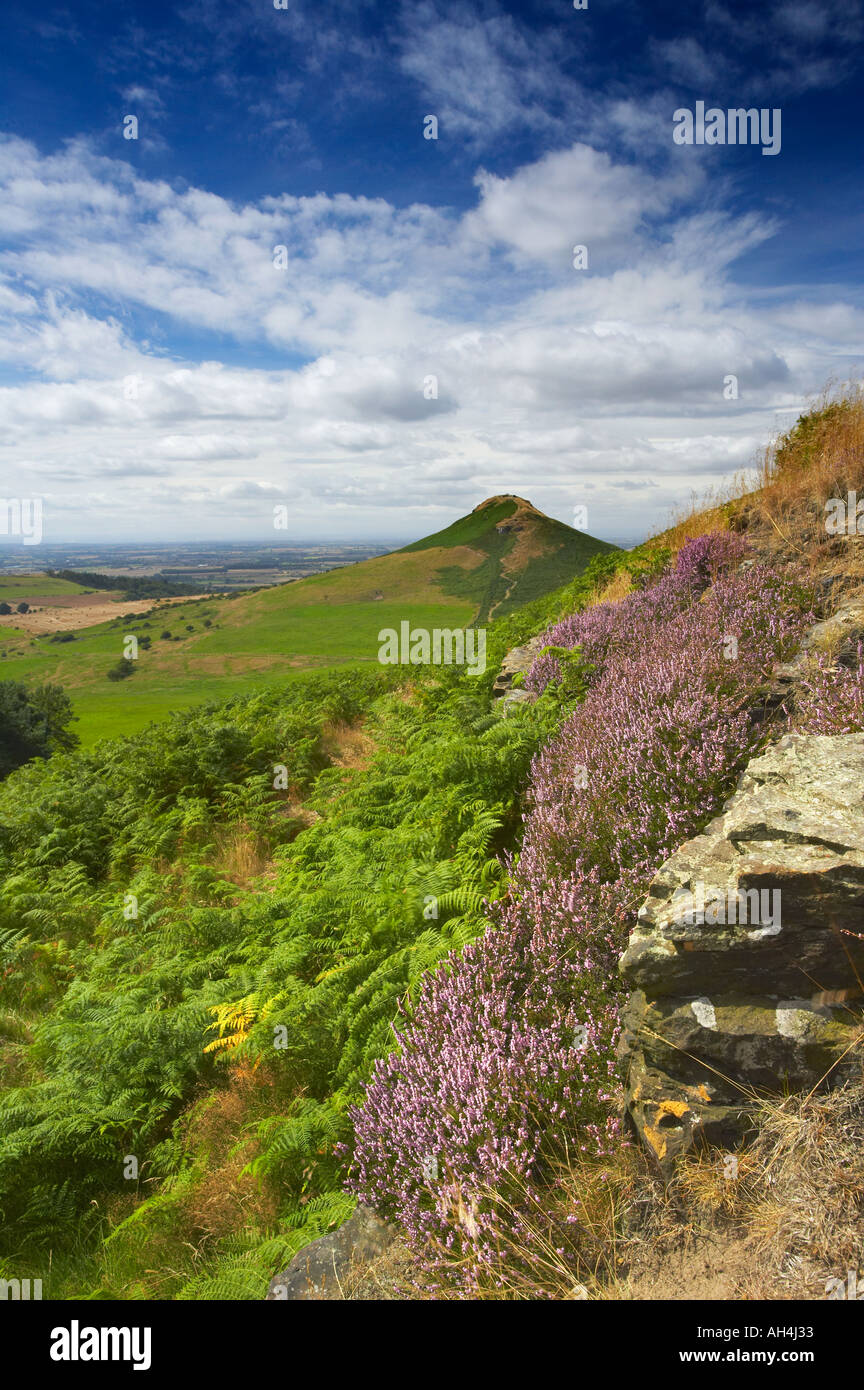 Nähe Topping aus wenig Nähe North Yorkshire Moors Nationalpark Yorkshire England Stockfoto