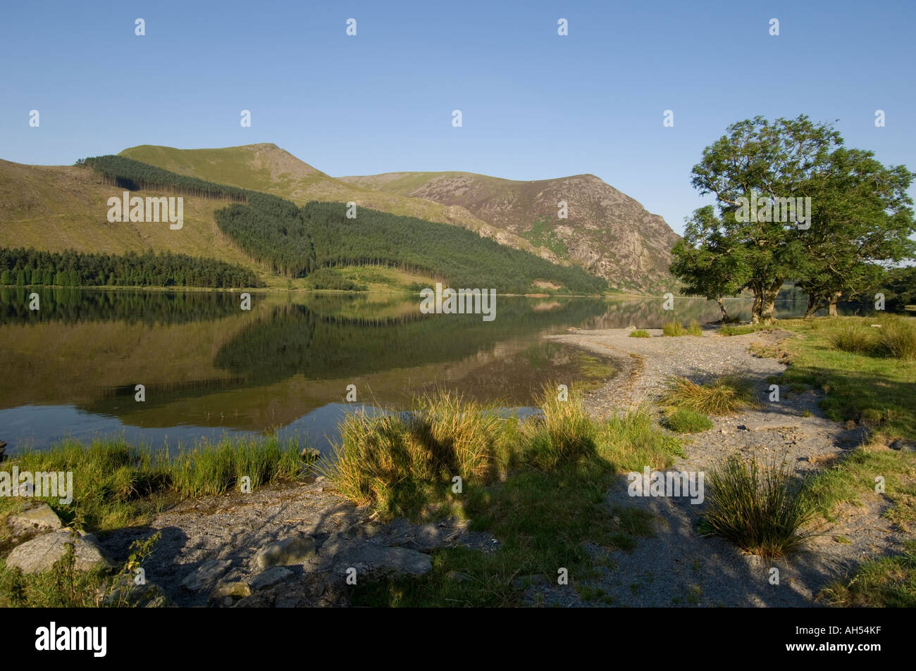 Llyn Cwellyn, in der Nähe von Beddgelert, Snowdonia Gwynedd North Wales (Sommermorgen) Reflexion in das Stille Wasser des Sees Stockfoto