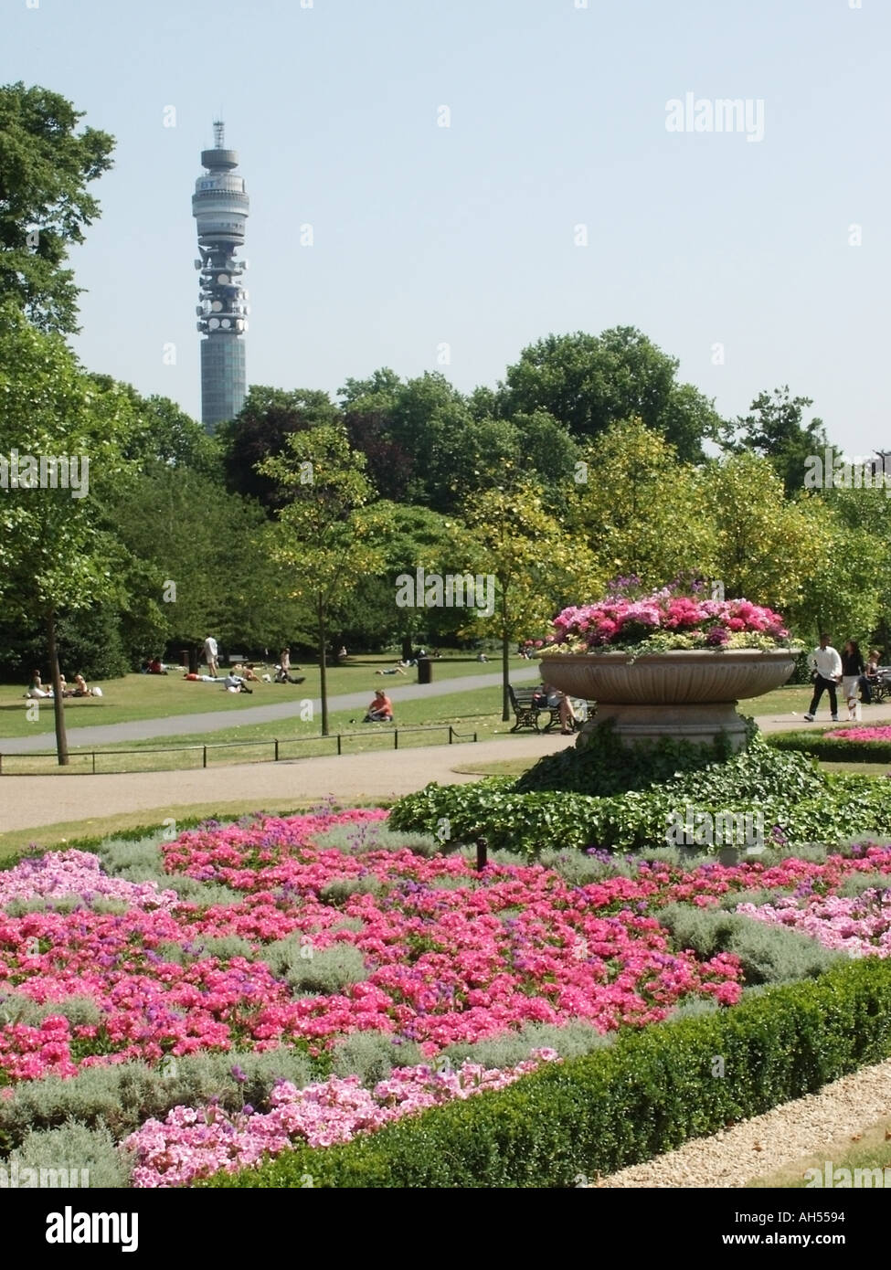 Regents Park London Sommer Beetpflanzen in voller Blüte Telekom Turm jenseits Stockfoto