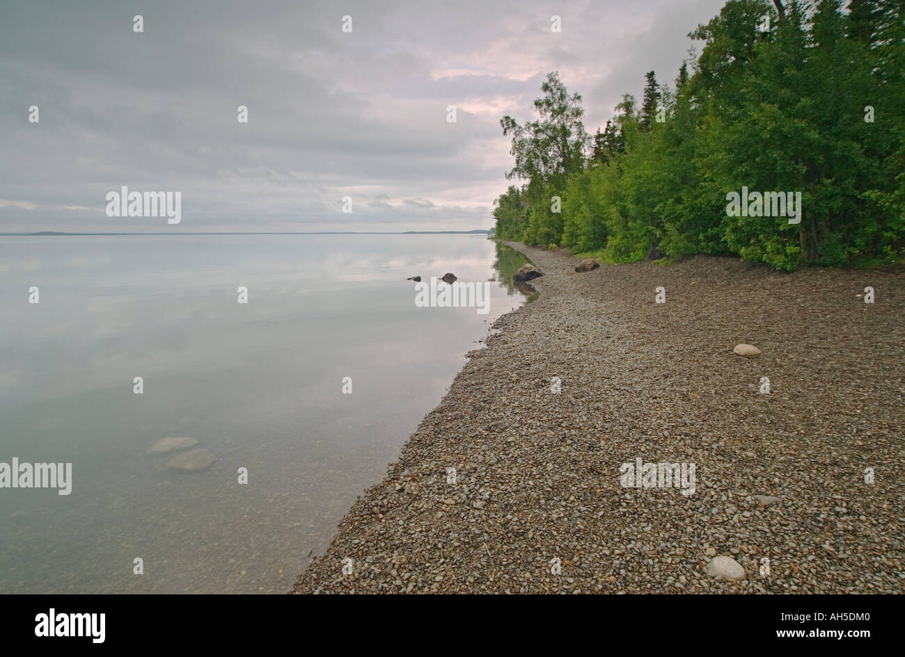 Ufer des See Skilak Kenai National Wildlife Refuge Kenai-Halbinsel Alaska USA Stockfoto