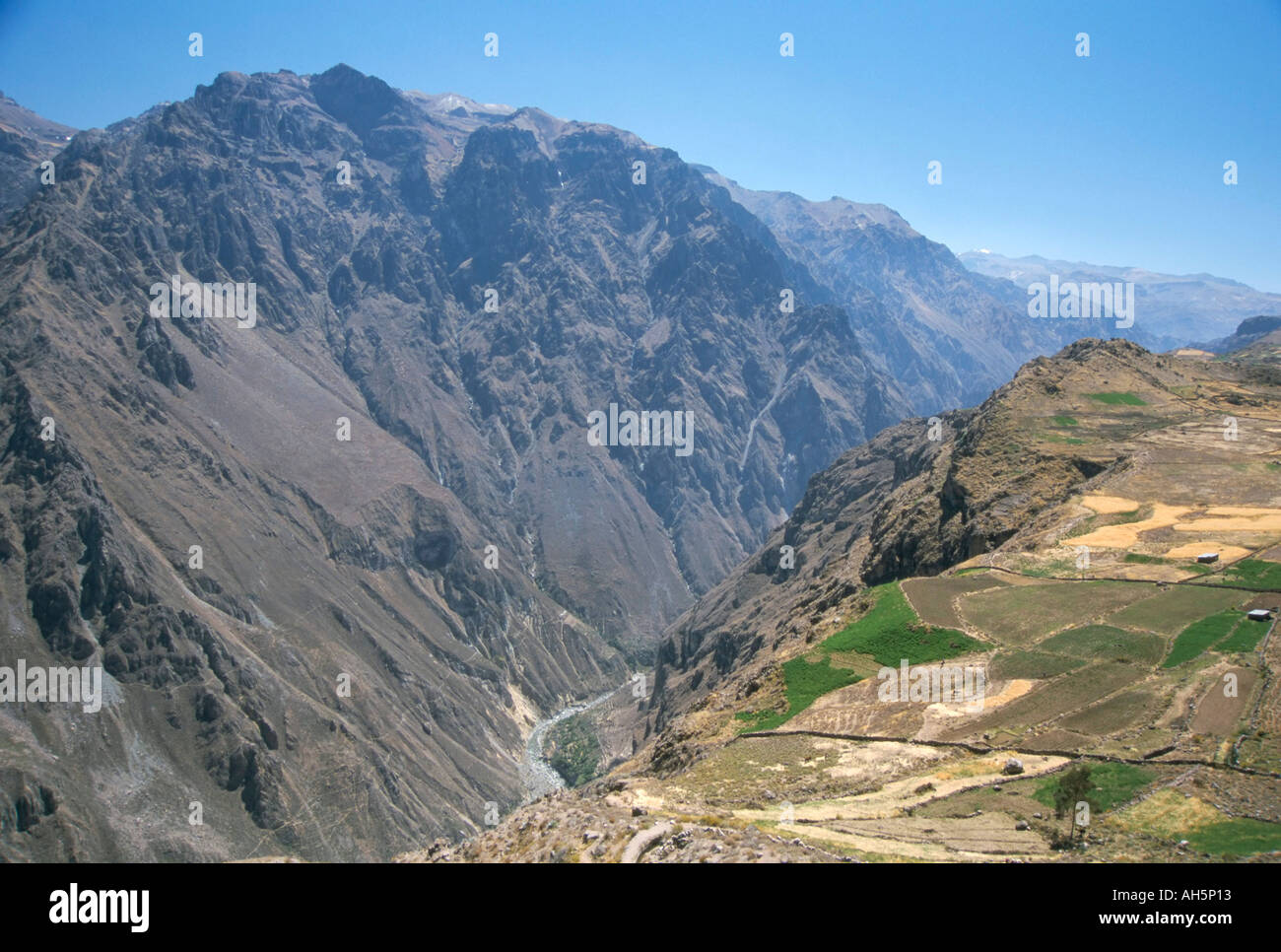 Canyon unterhalb Chivay Colca Canyon Peru Südamerika Stockfoto