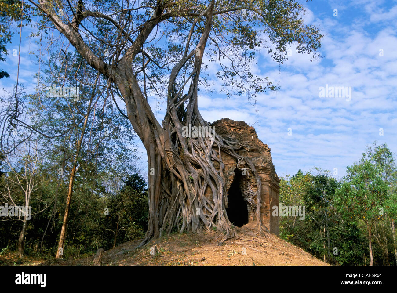 Pre Ankorian Website von Sambor Prei Kuk Prasat Trapeang Ropaeak komplexe Kompong Thom Kambodscha Indochina Südost-Asien Asien Stockfoto